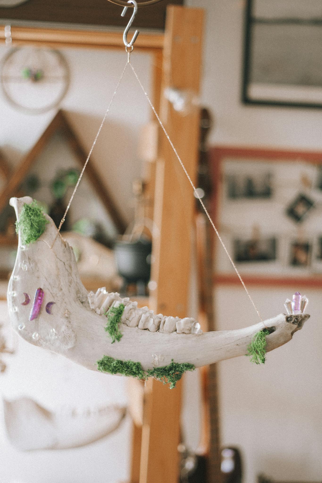 Decorative jawbone art piece with moss, crystals, and beads hanging in an artistic indoor setting.